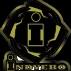 Indyebo Projects